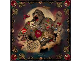 DMD-gorilla-bandanascarf